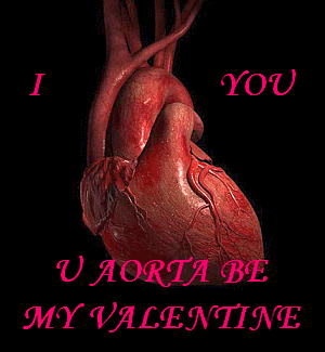 Happy Valentines Day